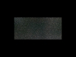 Aurea Negro 25x50